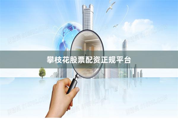 攀枝花股票配资正规平台
